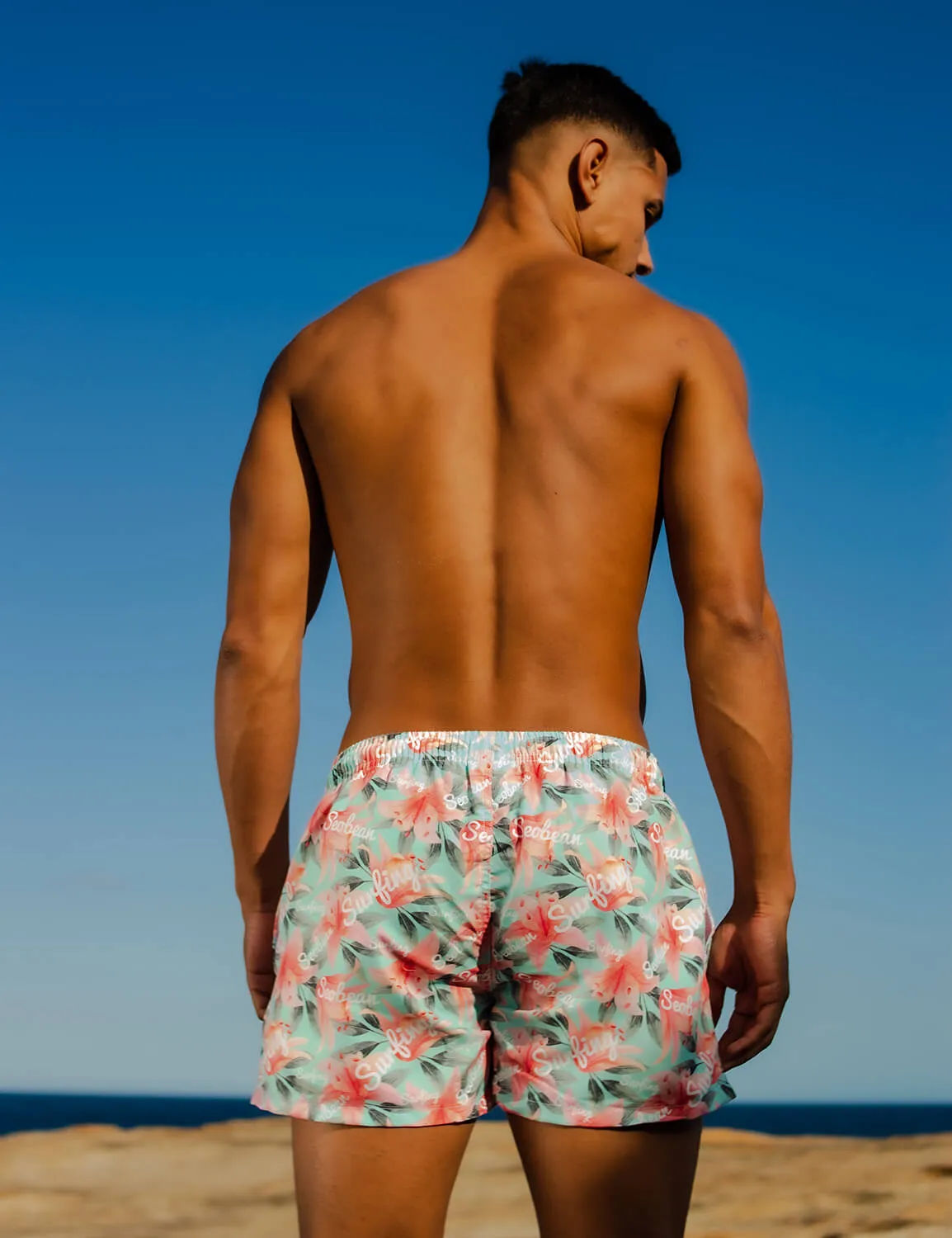 Beach Shorts 221301