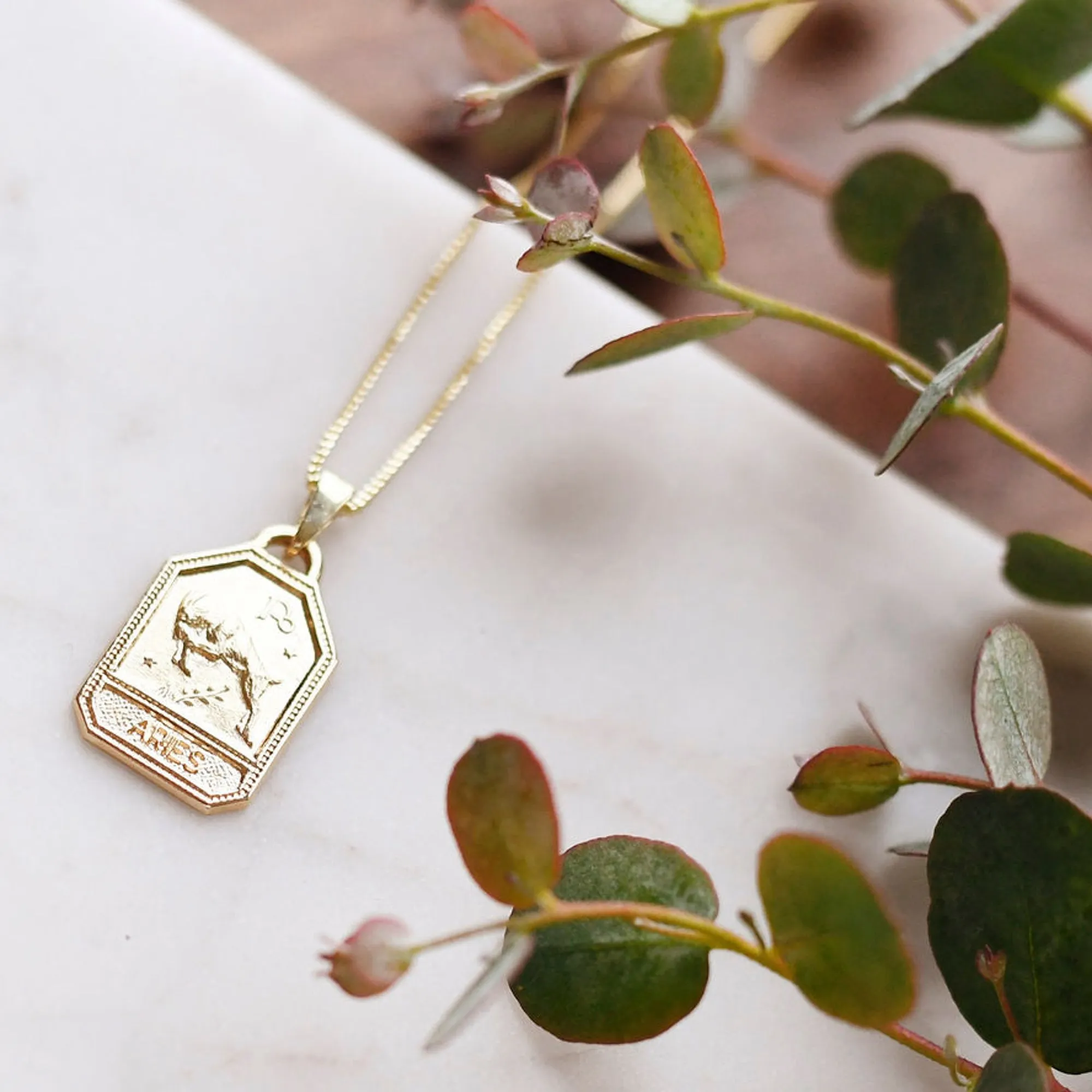 Zodiac Dog Tag Necklace